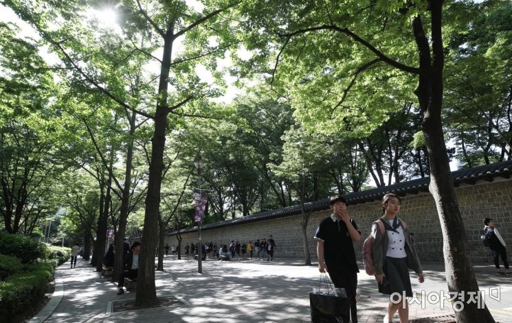 [포토] 푸른 5월