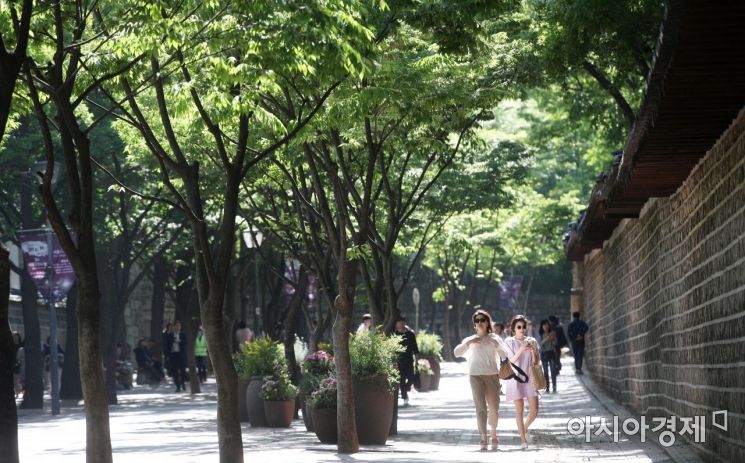 [포토] 돌담길의 5월 풍경