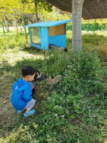 광주 북구, 근린공원·녹지에 예초작업 집중 실시