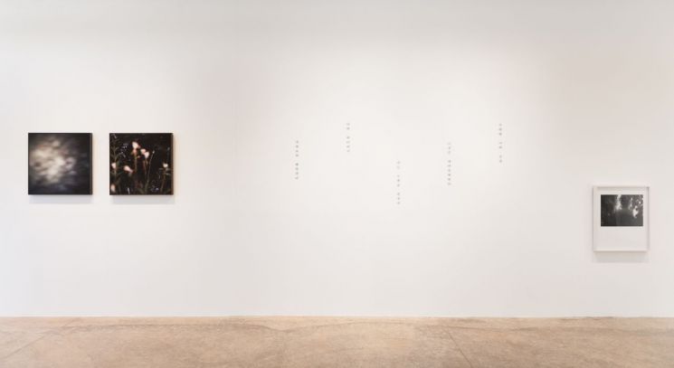 [전시 안내] 김지선 개인전 'Expect the Unexpected' 外