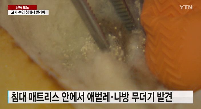 1천만원짜리 낙타털 침대서 나방·애벌레…소비자 "피부병 고통"