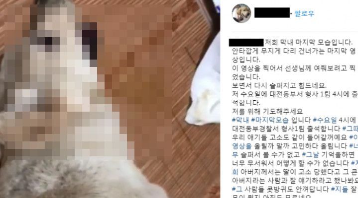 "장난삼아 강아지에 '농약'을…" '솜방망이' 처벌이 부추기는 동물학대