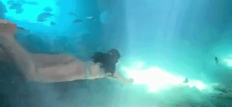 [포토] '바다 속으로'