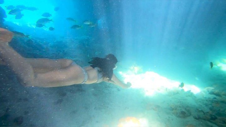 [포토] '바다 속으로'