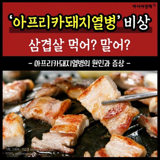 [카드뉴스]‘돼지열병’ 비상, 삼겹살 먹어? 말어?
