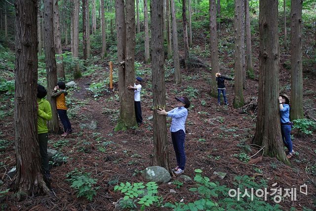 광양 백운산 치유의 숲 개장…28일부터 운영