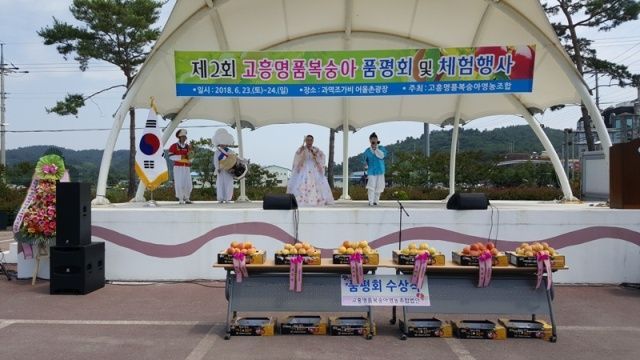 ‘고흥 명품 복숭아’ 품평회 및 체험 행사 개최