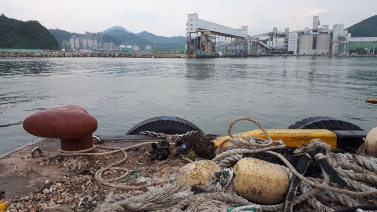 지난 15일 북한 선원 4명이 탄 어선이 연안에서 조업 중인 어민의 신고로 발견됐다는 정부 당국의 발표와 달리 삼척항에 정박해 있었고, 주민이 112에 신고하고서야 식별됐다는 주장이 나와 파문이 예상된다. 사진은 북한 어선이 정박했던 곳으로 추정되는 삼척항 부두 맨 끝의 모습. (사진=연합뉴스)