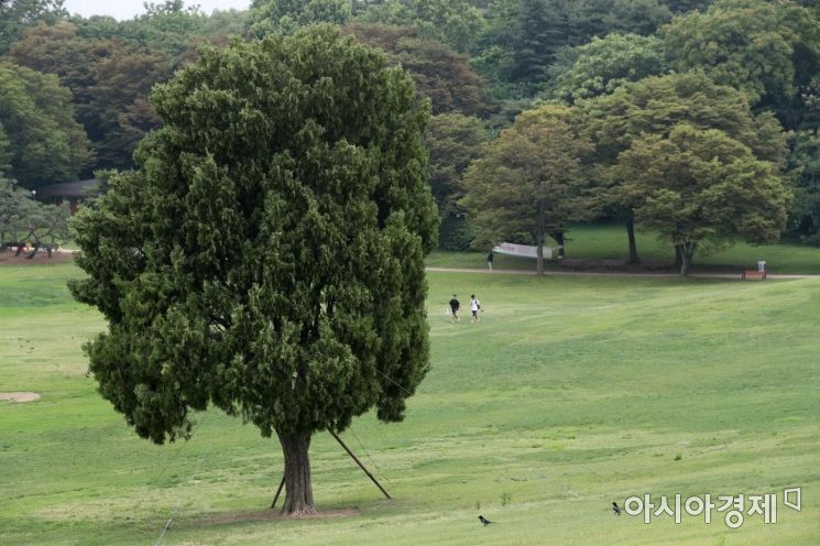 몽촌토성 산책로.[사진=아시아경제DB]