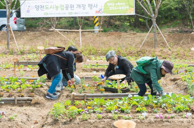 양천도시농업공원 개장식