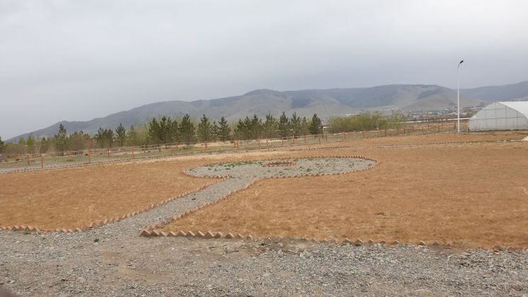 성동구, 몽골 바이양걸구에 '성동숲' 조성...3년간 1000그루 수목 심는다