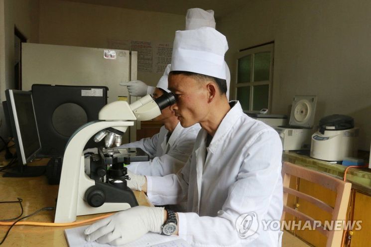 지난 10일 북한 평양에 있는 농업연구원 산하 수의학연구소의 연구원들이 아프리카돼지열병(ASF) 시료를 검사하고 있다(사진=AP연합뉴스).