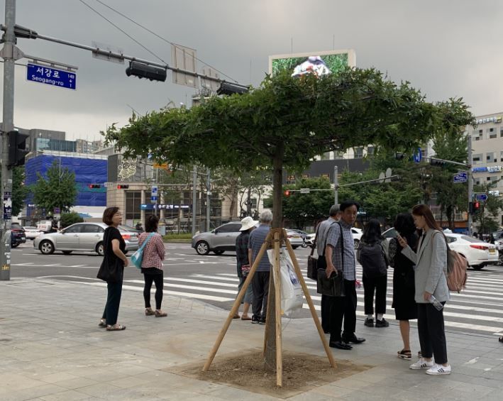 마포구, 서울시 자치구 최초 500만그루 나무를 심어 공기청정숲 조성