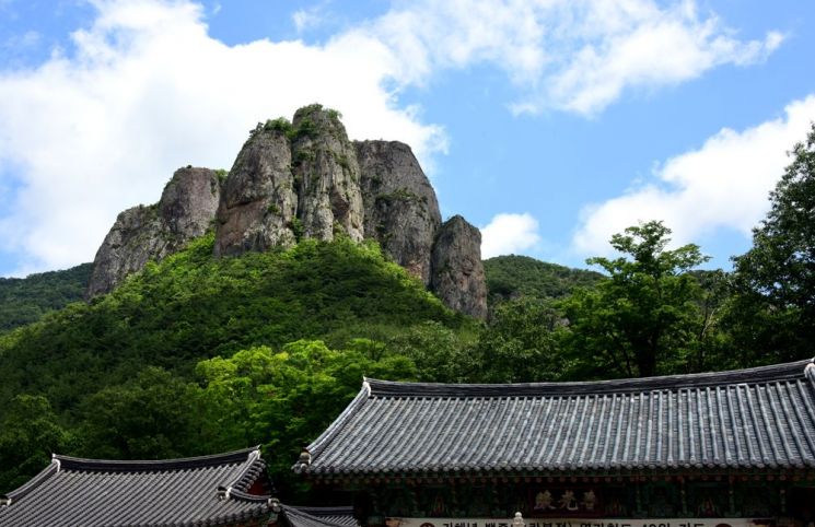 [조용준의 여행만리]사라졌다 나타난 기암괴석 '황홀한 운무'