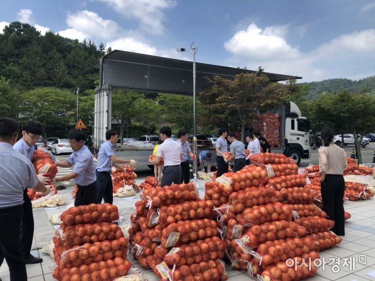 전남도, 양파·마늘 사주기 운동으로 13억 상당 판매고 올려  