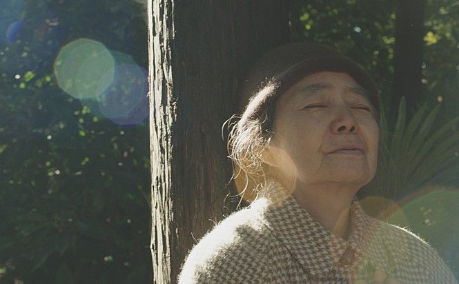 [이종길의 가을귀]벚나무가 된 '국민 엄마'의 마지막 인사