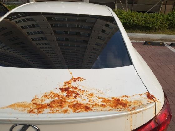 한 누리꾼이 자신의 승용차가 '김치테러'를 당했다며 온라인 커뮤니티에 사진을 공개했다/사진=온라인 커뮤니티