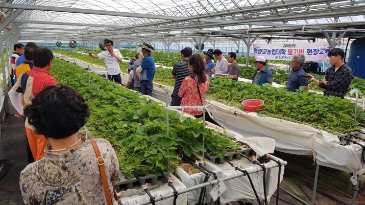 함평군 농업대학 교육생 40여 명이 9일 논산시 농업기술센터 딸기육묘시험포장을 방문해 교육을 받고 있다. 사진=함평군