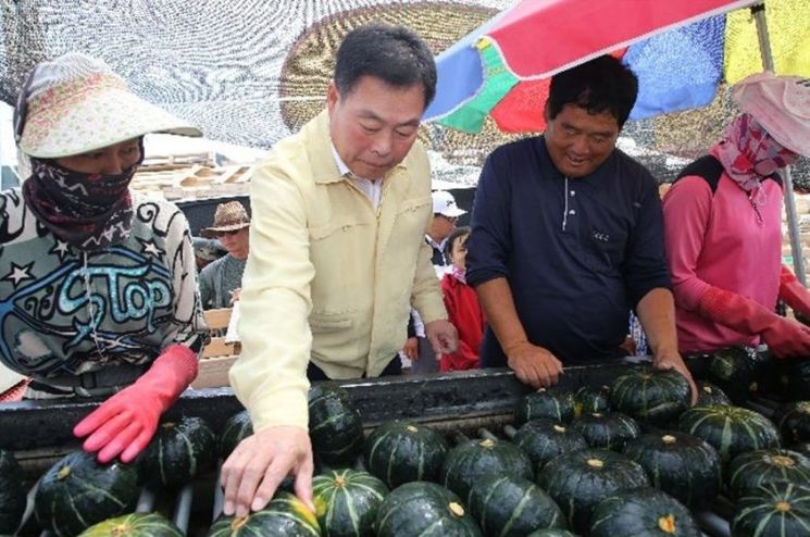 무안군 단호박, 새로운 농가 소득원으로 각광
