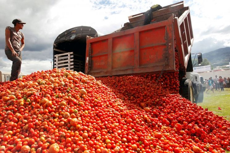 美-멕시코 '토마토 전쟁' 끝날까 