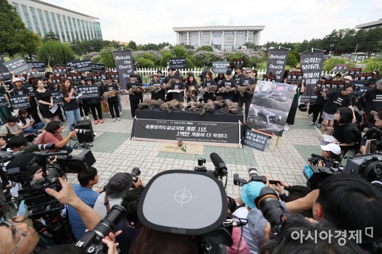 [포토]초복에 열린 국회 앞 동물 임의도살 반대 집회 