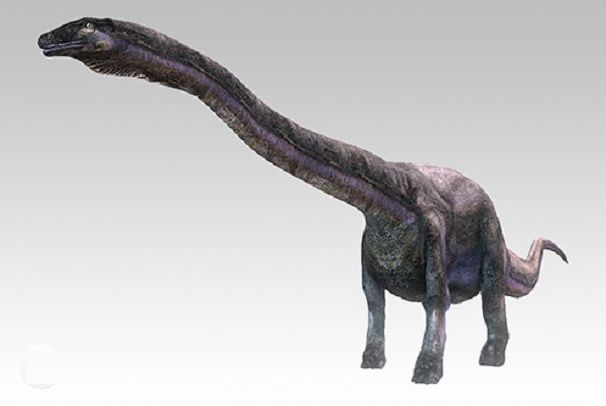 [논란의 공룡史] 디플로도쿠스는 어떻게 짝짓기를 했을까?