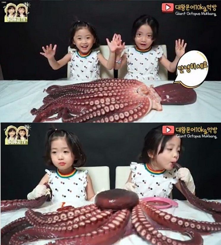 대왕문어를 그대로…'뚜아뚜지' 채널 사과…무슨 일 있었길래