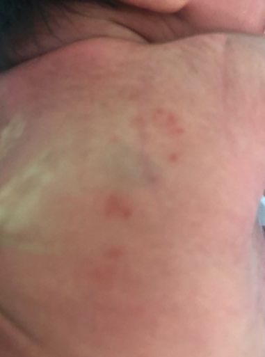 "양육할 수 없을 것 같았다, 잘못했다" 주택헛간에 신생아 유기한 친모 입건