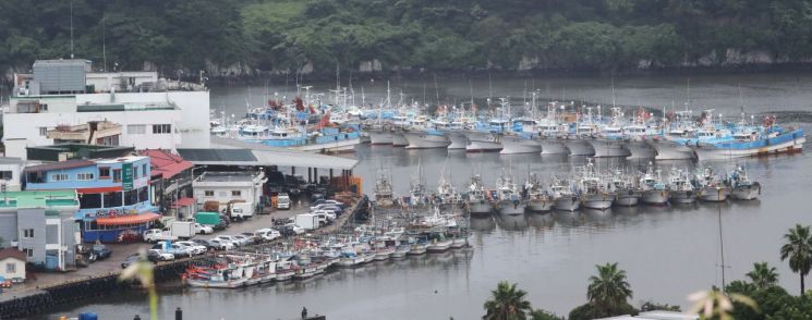 올 7월 태풍 '다나스' 탓에 제주 서귀포항에 어선들이 대피해 있는 모습.