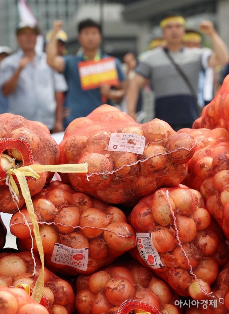 양파 수입 급증…원산지 특별단속 실시
