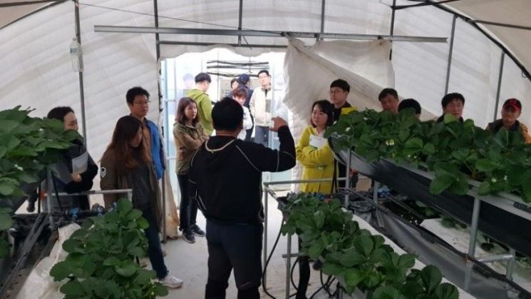 장성군 청년 농업인 창업…3000만 원 지원