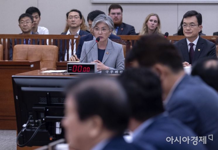 [포토] 외통위, '日 수출규제 철회 촉구 결의안' 채택