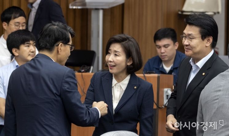 [포토] 반갑게 인사 나누는 나경원·윤상현