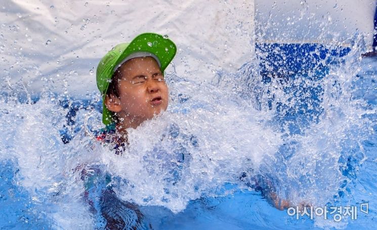 [포토]시원함 속으로 '풍덩'