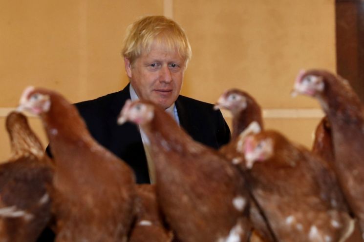 30일(현지시간) 웨일스 지역 양계농장을 방문한 보리스 존슨 영국 총리가 현장을 둘러보고 있다. [이미지출처=로이터연합뉴스]
