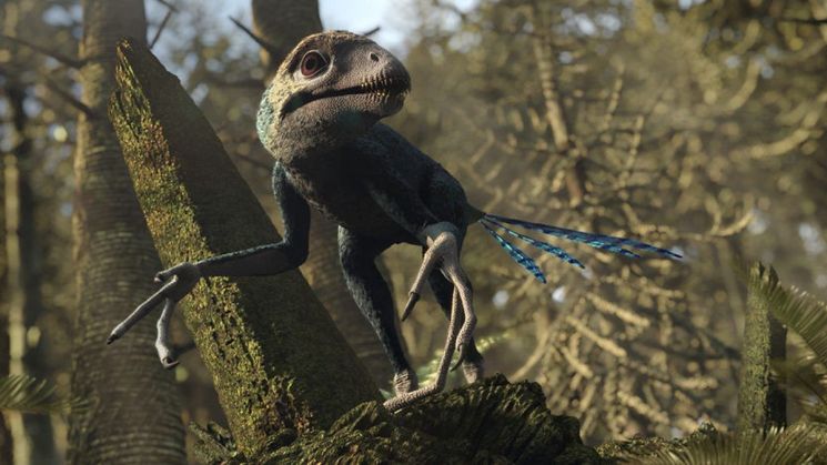 [논란의 공룡史] 가장 작은 공룡은 '병아리'만 했다? 