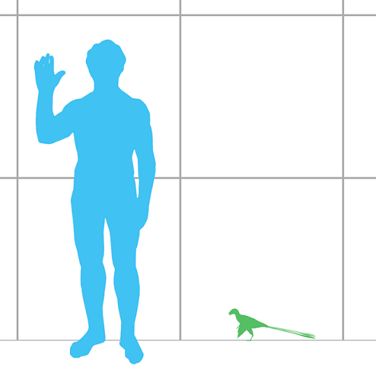 [논란의 공룡史] 가장 작은 공룡은 '병아리'만 했다? 