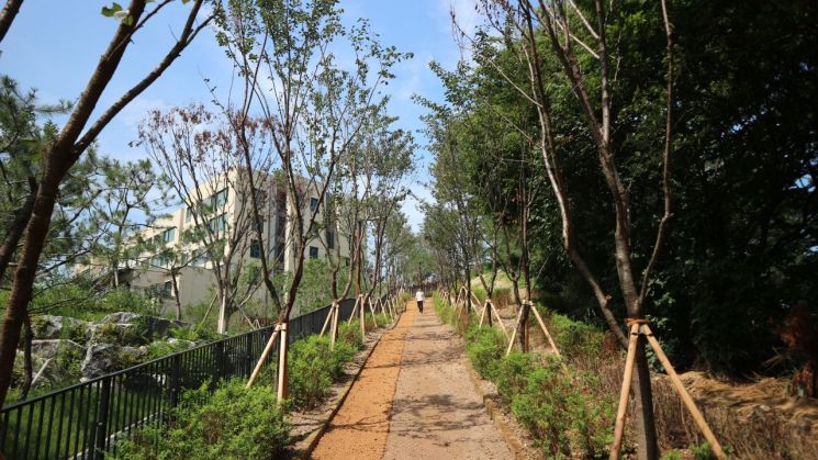 산책로 전경