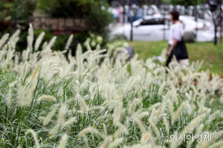 [포토]'가을이 오나요?' 