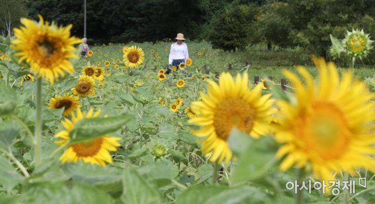 [포토] 가을의 문턱