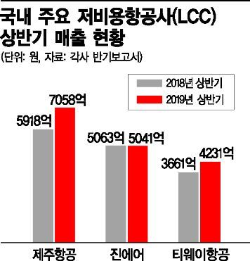 제재 1년…날개 잃은 진에어