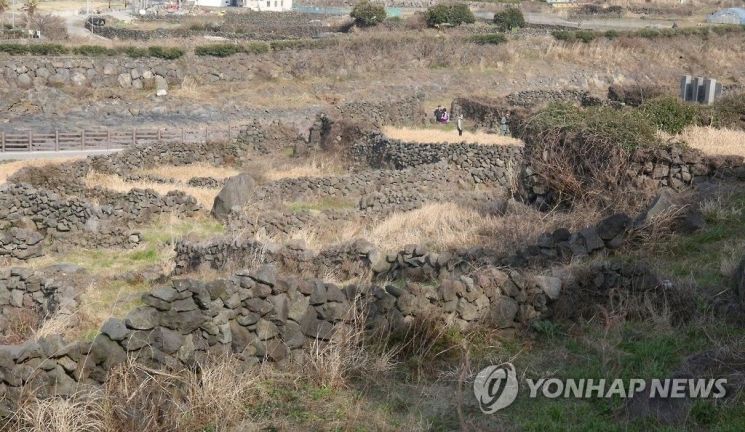 제주도, 4·3 주요 유적지 국가 등록문화재 승격 추진
