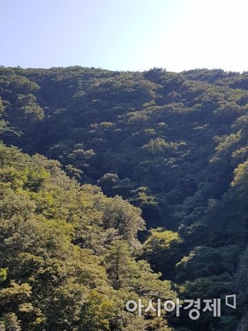 [전라도 주말 여행] ③ 담양 가마골생태공원