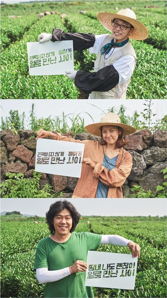 tvN '일로 만난 사이' 출연진 / 사진=tvN