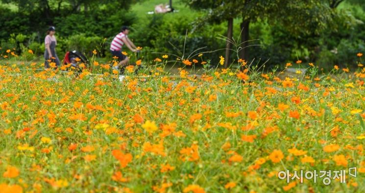 [포토]'가을의 시작'