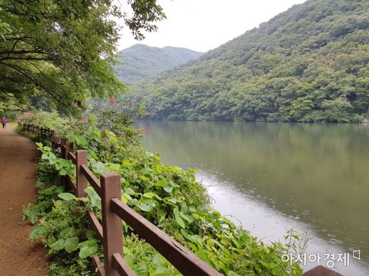 [전라도 주말 여행] ④ 영광 불갑사