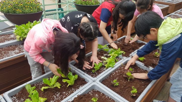 서울시 '1학교 1텃밭' 年末까지 364개교로 늘린다