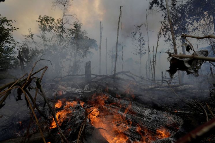 "아마존 살리자" 국제사회 나섰는데…브라질, 佛과 지원 문제 놓고 설전