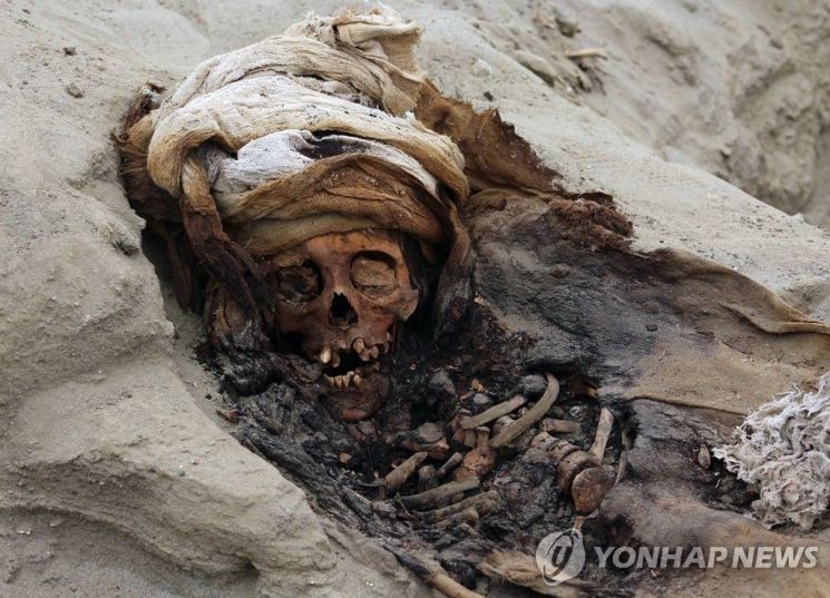 AFP=연합뉴스