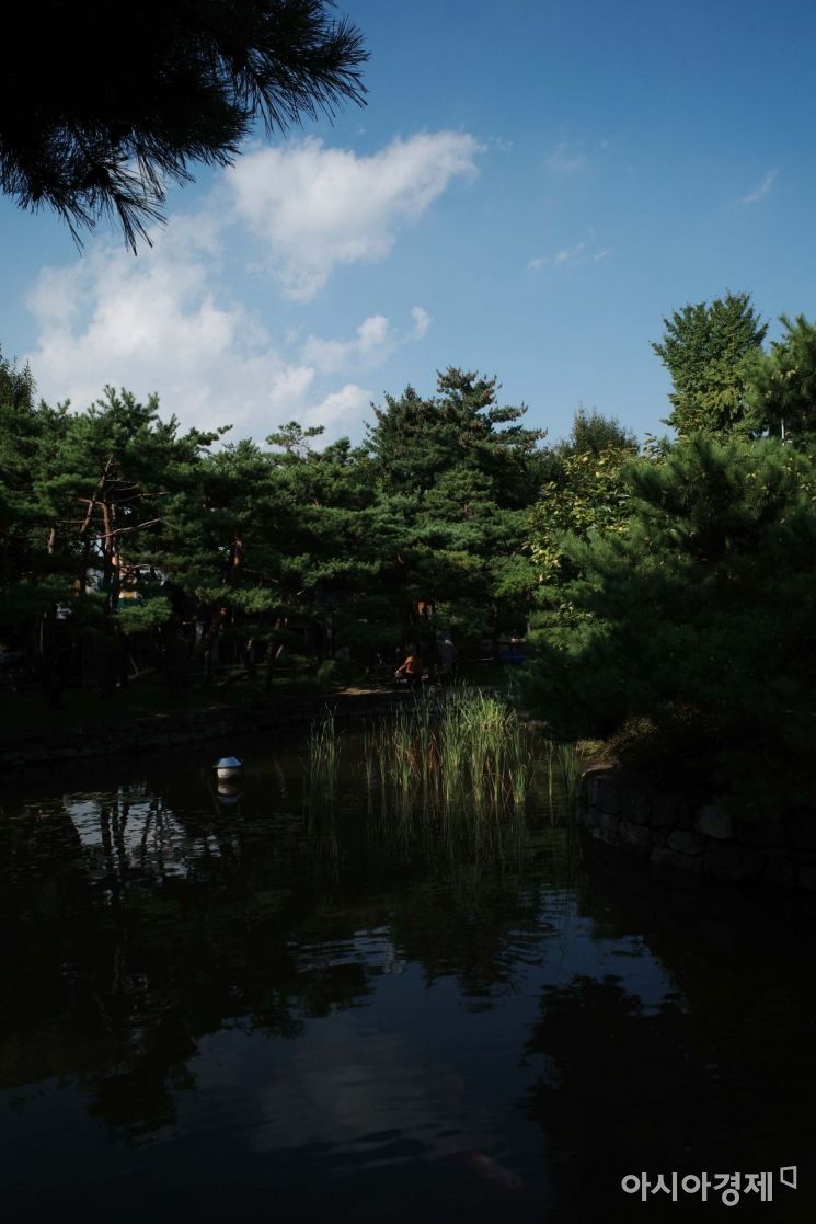 [포토]세찬 비 그치고 드러난 파란 하늘 